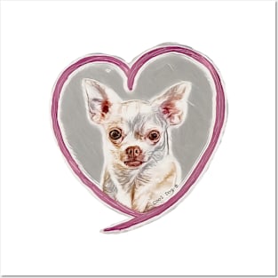 Cool Chihuahua© Posters and Art